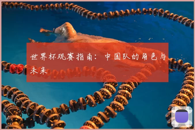 世界杯观赛指南:中国队的角色与未来