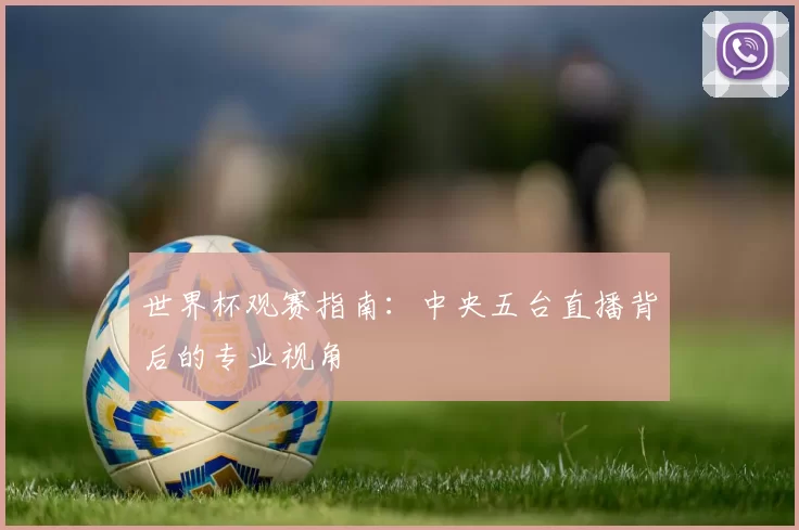 世界杯观赛指南：中央五台直播背后的专业视角