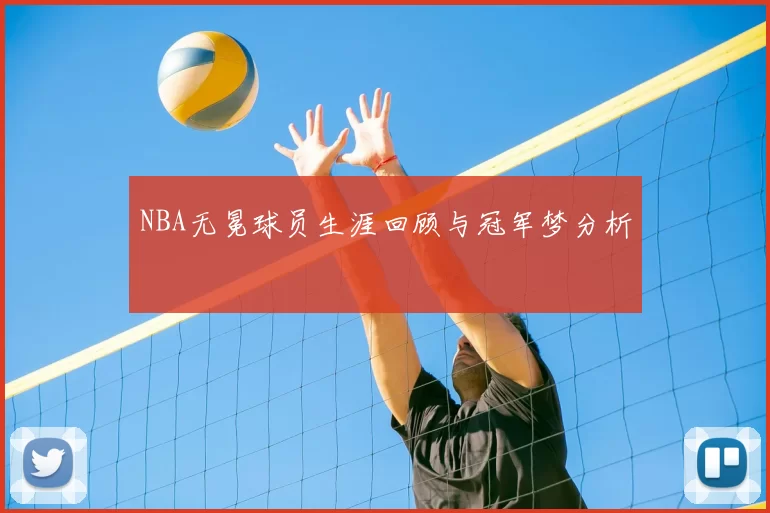 NBA无冕球员生涯回顾与冠军梦分析