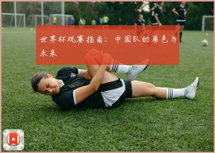 世界杯观赛指南:中国队的角色与未来