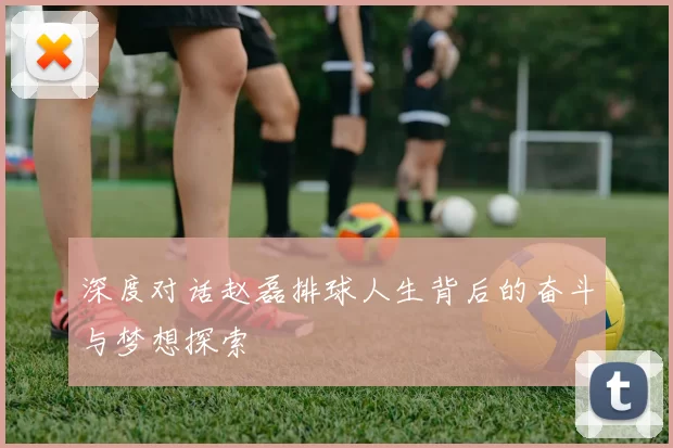 深度对话赵磊排球人生背后的奋斗与梦想探索