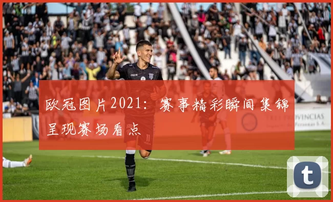 欧冠图片2021:赛事精彩瞬间集锦呈现赛场看点