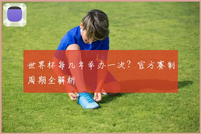 世界杯每几年举办一次？官方赛制周期全解析