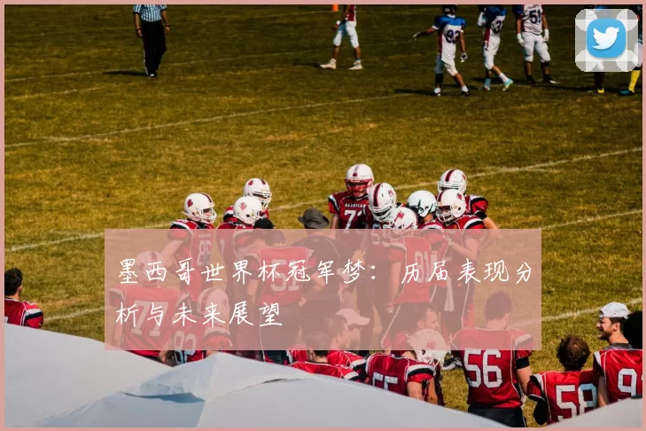 墨西哥世界杯冠军梦:历届表现分析与未来展望