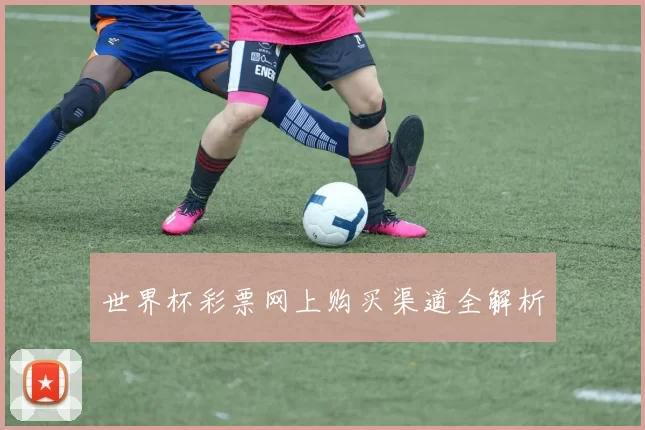 世界杯彩票网上购买渠道全解析