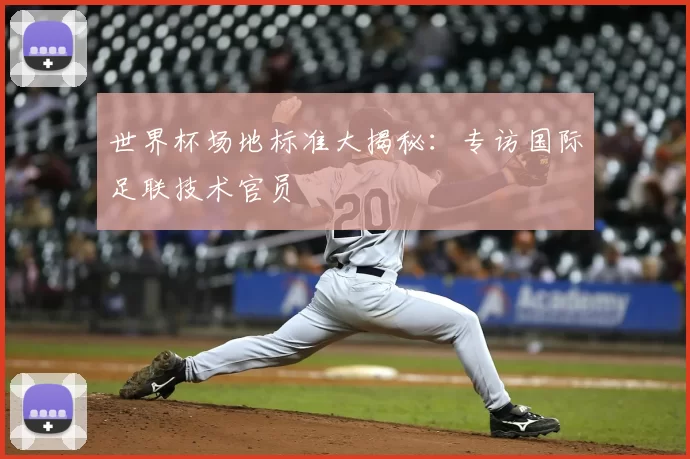 世界杯场地标准大揭秘:专访国际足联技术官员