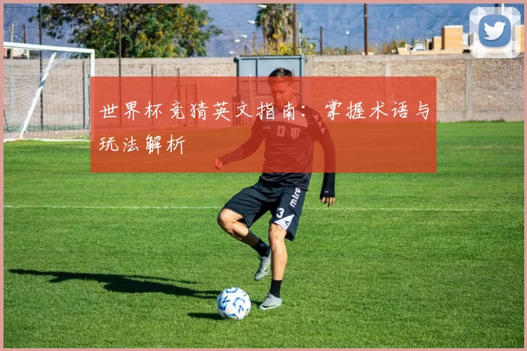 世界杯竞猜英文指南：掌握术语与玩法解析