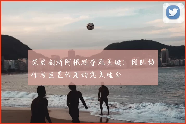 深度剖析阿根廷夺冠关键：团队协作与巨星作用的完美结合