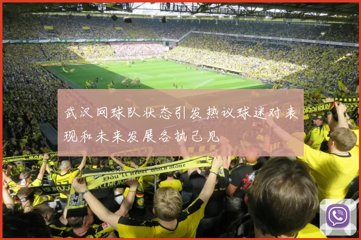 武汉网球队状态引发热议球迷对表现和未来发展各执己见