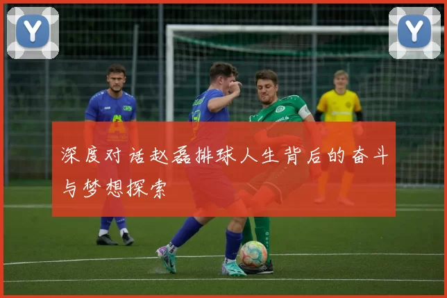 深度对话赵磊排球人生背后的奋斗与梦想探索