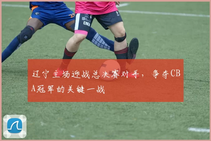 辽宁主场迎战总决赛对手，争夺CBA冠军的关键一战